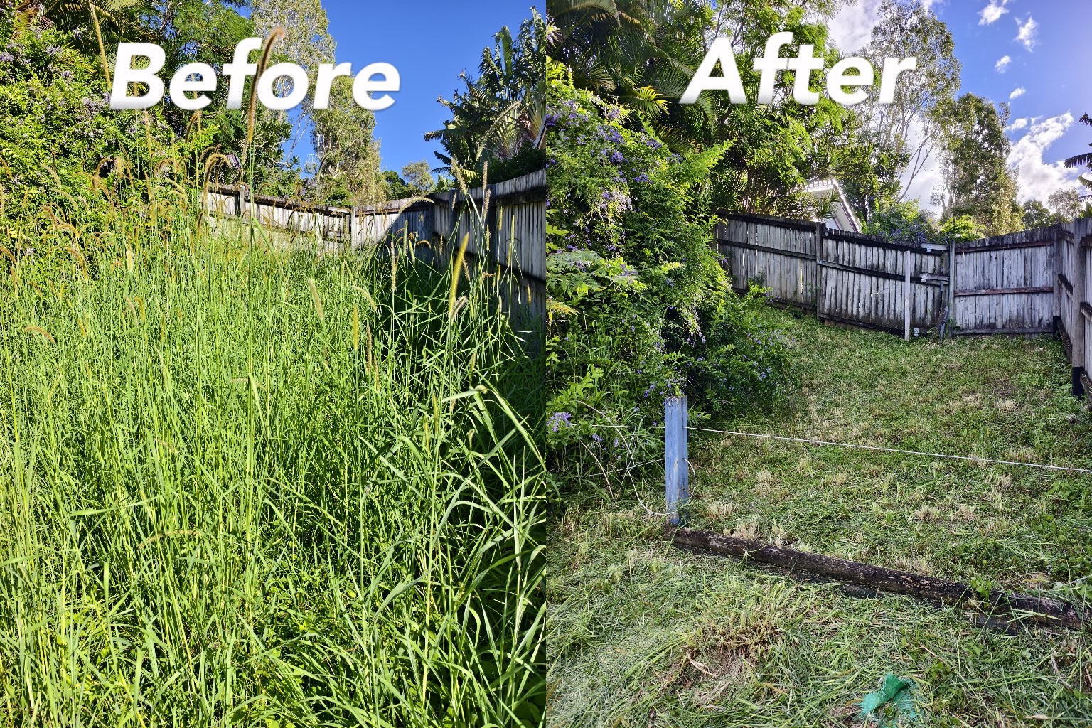 Professional green waste removal and yard cleanup service by Paradise Handyman on the Gold Coast.